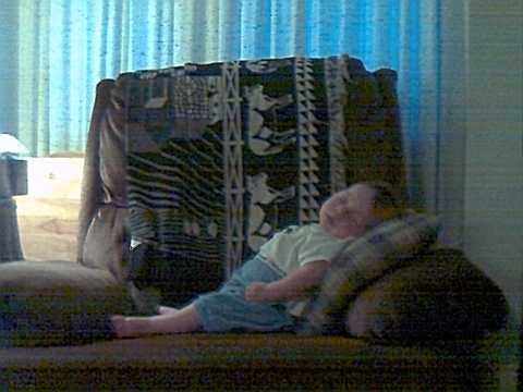 Dooby-Jake Sleeping in the recliner.